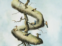 dépêches Handicapzéro