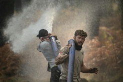 Des volontaires luttent contre le feu dans la forêt de Lanton (Gironde) le 29 juillet 2026 - © AFP - Ed JONES Des volontaires luttent contre le feu dans la forêt de Lanton (Gironde) le 29 juillet 2026 - © AFP - Ed JONES