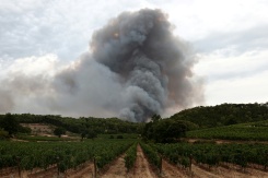 Un épais nuage de fumée s'élève dans la zone de Correns, dans le Var, où un incendie s'est déclaré, le 31 juillet 2026 - © AFP - Thibaud MORITZ Un épais nuage de fumée s'élève dans la zone de Correns, dans le Var, où un incendie s'est déclaré, le 31 juillet 2026 - © AFP - Thibaud MORITZ