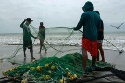 Des pêcheurs manipulent des filets à Santa Elena, en Equateur, le 18 septembre 2026 - © AFP - Gerardo MENOSCAL Des pêcheurs manipulent des filets à Santa Elena, en Equateur, le 18 septembre 2026 - © AFP - Gerardo MENOSCAL