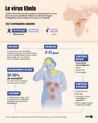 Le virus Ebola - © AFP - Jonathan WALTER, Valentina BRESCHI Le virus Ebola - © AFP - Jonathan WALTER, Valentina BRESCHI