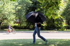 Une personne s'abrite du soleil avec un parapluie, le 22 juin 2026 à Hyde Park, à Londres - © AFP - Brook Mitchell Une personne s'abrite du soleil avec un parapluie, le 22 juin 2026 à Hyde Park, à Londres - © AFP - Brook Mitchell