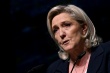 Marine Le Pen, présidente du groupe parlementaire - © AFP/Archives
