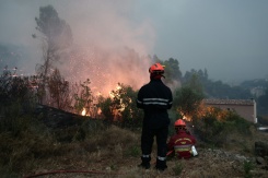Des pompiers luttent contre un incendie de forêt sur la commune varoise de Montfort-sur-Argens, le 31 juillet 2026
- © AFP - Thibaud MORITZ Des pompiers luttent contre un incendie de forêt sur la commune varoise de Montfort-sur-Argens, le 31 juillet 2026
- © AFP - Thibaud MORITZ