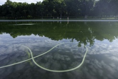 Des algues visibles dans le bassin réfléchissant du Lincoln Memorial, alors que les efforts de nettoyage se poursuivent là où la peinture bleue s'est écaillée, le 20 juin 2026 à Washington - © AFP - Ken Cedeno Des algues visibles dans le bassin réfléchissant du Lincoln Memorial, alors que les efforts de nettoyage se poursuivent là où la peinture bleue s'est écaillée, le 20 juin 2026 à Washington - © AFP - Ken Cedeno