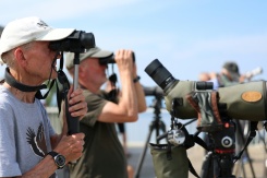 Des ornithologues amateurs et des bénévoles de l'organisation Batumi Raptor Count (BRC) observent des rapaces qui migrent par le "goulot d’étranglement de Batoumi", le 22 septembre 2026 à Sakhalvasho, en Géorgie - © AFP - Giorgi ARJEVANIDZE Des ornithologues amateurs et des bénévoles de l'organisation Batumi Raptor Count (BRC) observent des rapaces qui migrent par le "goulot d’étranglement de Batoumi", le 22 septembre 2026 à Sakhalvasho, en Géorgie - © AFP - Giorgi ARJEVANIDZE