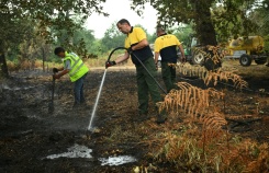 Des membres de la Défense des Forêts Contre les Incendies (DFCI) éteignent les débris d'un incendie, le 16 août 2026 à Luglon, dans les Landes    - © AFP - Gaizka IROZ