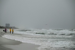 Des personnes observent les fortes vagues à Pensacola Beach à l'approche de l'ouragan Isaias, le 9 octobre 2026 en Floride - © AFP - RONALDO SCHEMIDT