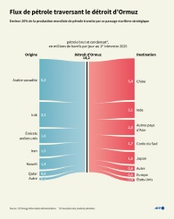 Flux de pétrole traversant le détroit d'Ormuz - © AFP - Jonathan WALTER, Valentina BRESCHI