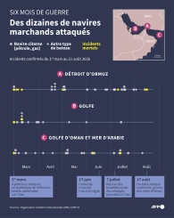 Six mois de guerre : des dizaines de navires marchands attaqués - © AFP - Paz PIZARRO, Luca MATTEUCCI Six mois de guerre : des dizaines de navires marchands attaqués - © AFP - Paz PIZARRO, Luca MATTEUCCI