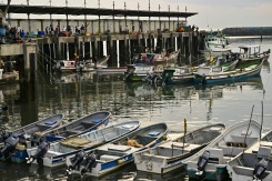 Des bateaux amarrés au terminal de pêche de la ville de Panama, le 24 septembre 2026 - © AFP - MARTIN BERNETTI Des bateaux amarrés au terminal de pêche de la ville de Panama, le 24 septembre 2026 - © AFP - MARTIN BERNETTI