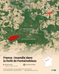 France : incendie dans la forêt de Fontainebleau - © AFP - Nalini LEPETIT-CHELLA, Valentina BRESCHI