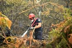 Un pompier arrose le sol pour empêcher des reprises de feu, le 16 août 2026 à Luglon, dans les Landes  - © AFP - Gaizka IROZ