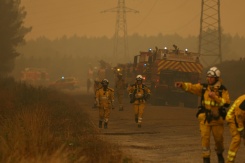 Des pompiers mobilisés sur un feu à Marcheprime, à l'ouest de Bordeaux, le 26 juillet 2026 - © AFP - Alain JOCARD Des pompiers mobilisés sur un feu à Marcheprime, à l'ouest de Bordeaux, le 26 juillet 2026 - © AFP - Alain JOCARD