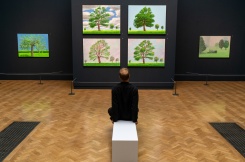 Exposition d'oeuvres de David Hockney à la Royal Academy de Londres le 18 mai 2021 - © AFP/Archives - Niklas HALLE'N