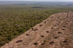 Vue aérienne de la déforestation du Cerrado à São Desidério, dans l’ouest de l’État de Bahia, au Brésil, le 25 septembre 2023 - © AFP/Archives - Florence GOISNARD Vue aérienne de la déforestation du Cerrado à São Desidério, dans l’ouest de l’État de Bahia, au Brésil, le 25 septembre 2023 - © AFP/Archives - Florence GOISNARD