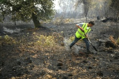 Un membre de la Défense des Forêts Contre les Incendies (DFCI) éteint les débris d'un incendie, le 16 août 2026 à Luglon, dans les Landes    - © AFP - Gaizka IROZ