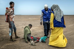 Des membres de l'OIM viennent en aide dans une zone désertique à un migrant épuisé, le 12 avril 2026, près d'Obock, à Djibouti - © AFP - Luis TATO