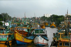 Des bateaux de pêche au mouillage dans un port de Kakinada, alors que le cyclone Arnab touche terre, le 28 octobre 2026 dans l'Etat de l'Andhra Pradesh, en Inde - © AFP - Noah SEELAM Des bateaux de pêche au mouillage dans un port de Kakinada, alors que le cyclone Arnab touche terre, le 28 octobre 2026 dans l'Etat de l'Andhra Pradesh, en Inde - © AFP - Noah SEELAM