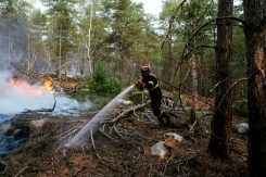Un pompier lutte contre un incendie dans la forêt de Fontainebleau, à Noisy-sur-Ecole, en Seine-et-Marne, le 14 juillet 2026  - © AFP - Dimitar DILKOFF
