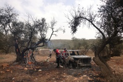 Des bénévoles palestiniens inspectend une oliveraie incendiée par des colons israéliens près de Ramallah, en Cisjordanie, le 16 octobre 2026 - © AFP - AHMAD GHARABLI
