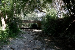 La rivière La Nouère à sec à Linars, en Charente; le 20 juillet 2026 - © AFP/Archives - ROMAIN PERROCHEAU La rivière La Nouère à sec à Linars, en Charente; le 20 juillet 2026 - © AFP/Archives - ROMAIN PERROCHEAU