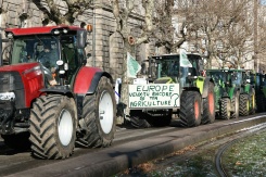 Une pancarte sur laquelle on peut lire "Europe, veux-tu encore de ton agriculture ?" est installée sur un tracteur à Strasbourg, dans l'est de la France, le 7 janvier 2026 - © AFP/Archives - Frederick FLORIN