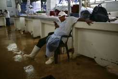 Un vendeur de poisson regarde son téléphone en attendant les clients au marché de fruits de mer de Panama, le 24 septembre 2026 - © AFP - MARTIN BERNETTI Un vendeur de poisson regarde son téléphone en attendant les clients au marché de fruits de mer de Panama, le 24 septembre 2026 - © AFP - MARTIN BERNETTI