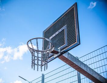 Basket-ball : Euroligue masculine