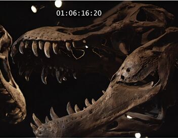 Avant Jurassic Park : l'apocalypse des dinosaures