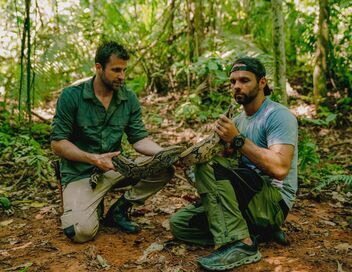 Morsures et piqûres : le grand test