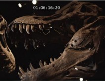 Avant Jurassic Park : l'apocalypse des dinosaures