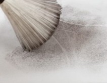 Adolescents et criminels : comment ont-ils basculé ?