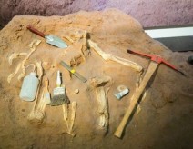 Les pharaons perdus de Tanis